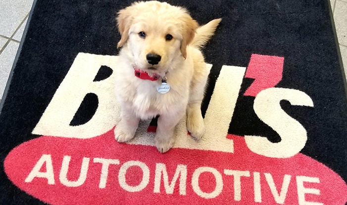 Homepage Slideshow Image